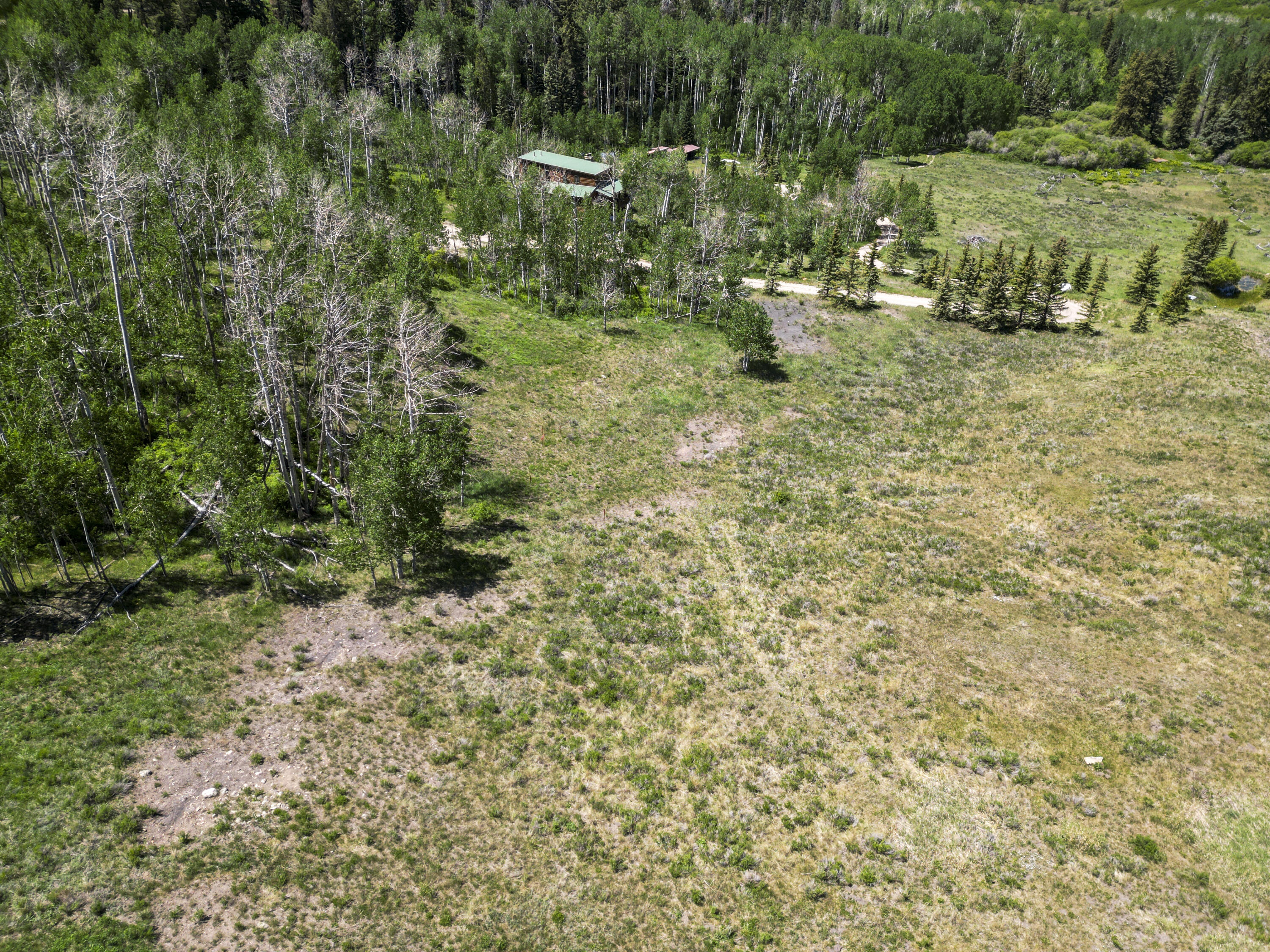 Tbd Wilson Mesa Ranch Circle Placerville, CO 81430 - Photo 5 of 9