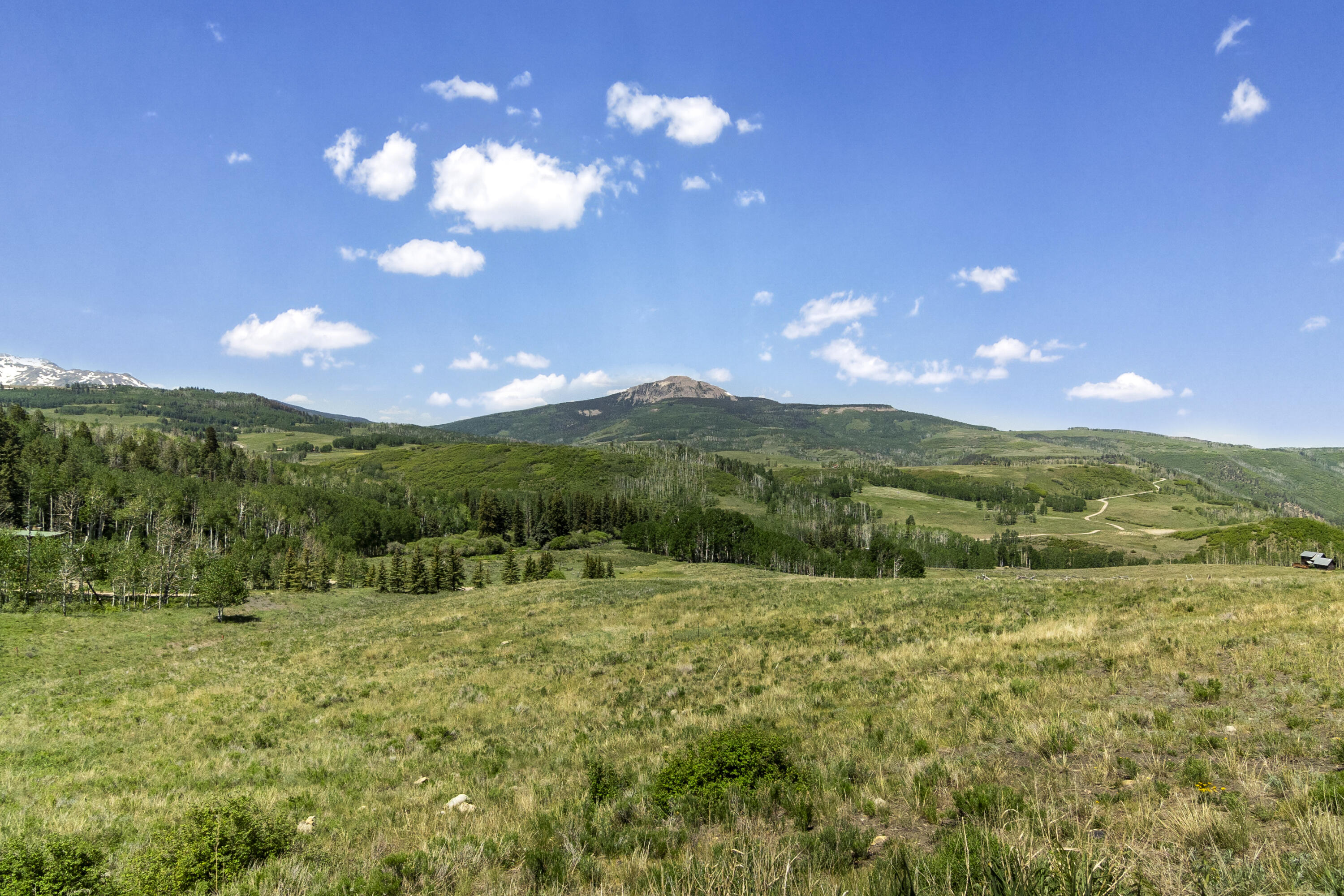 Tbd Wilson Mesa Ranch Circle Placerville, CO 81430 - Photo 5 of 9 a view of an outdoor space and yard