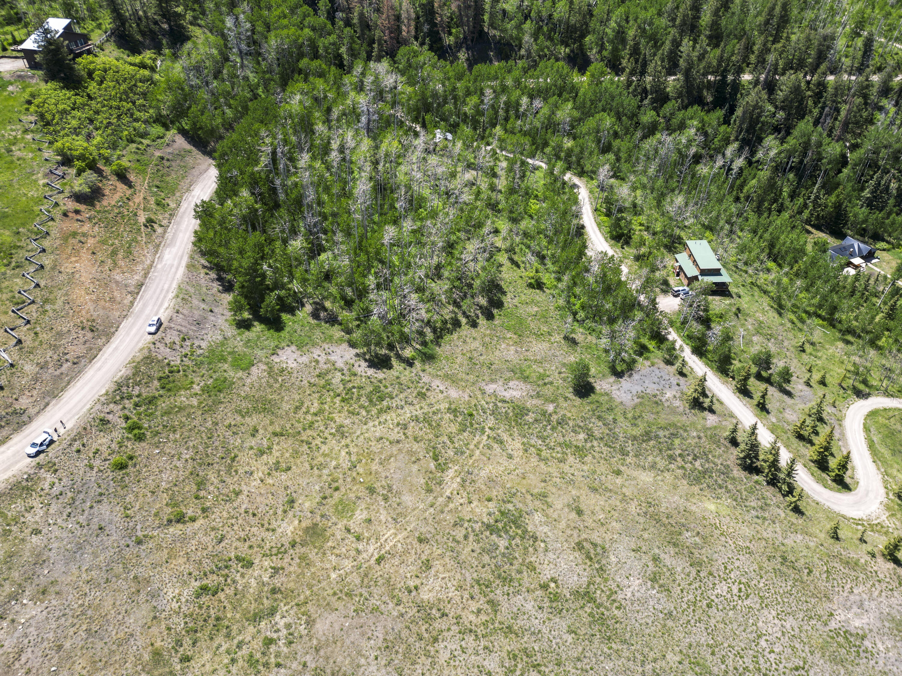Tbd Wilson Mesa Ranch Circle Placerville, CO 81430 - Photo 6 of 9 a view of a yard with plants and tree