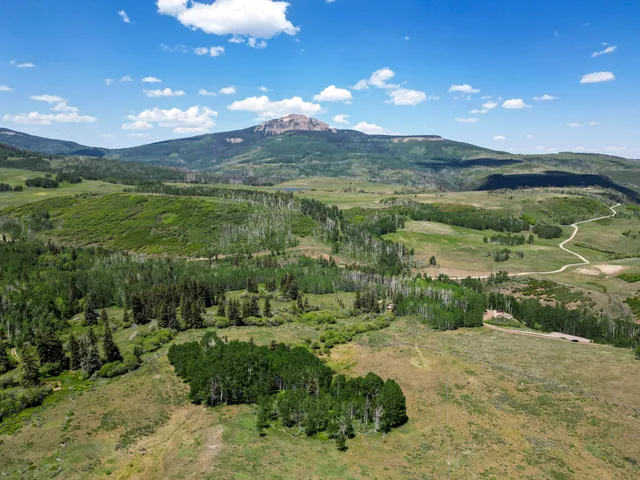 $550,000 | Tbd Wilson Mesa Ranch Circle, Placerville, CO 81430