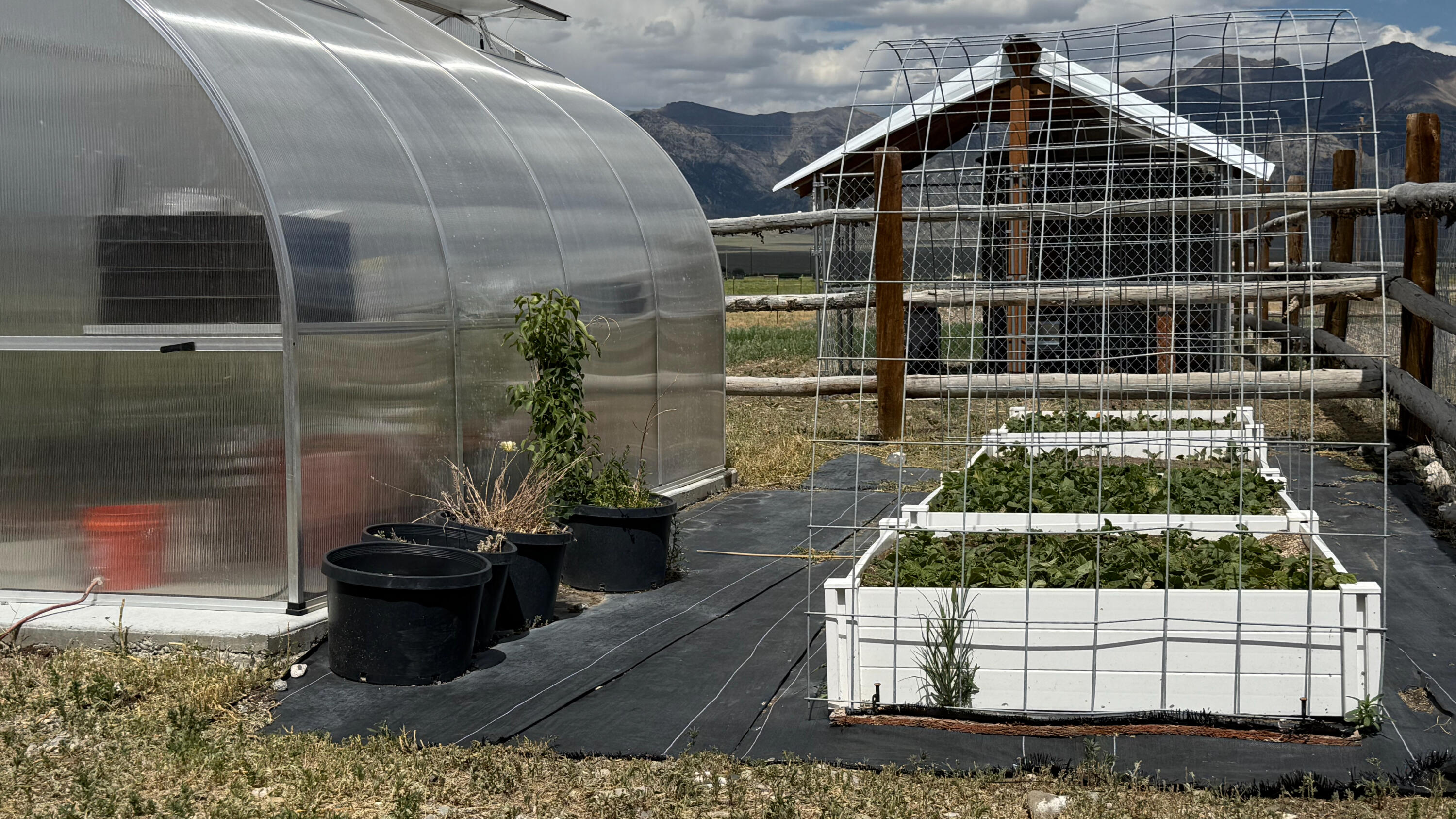 4133 Highway 93 Mackay, ID 83251 - Photo 29 of 41 IMG_9121