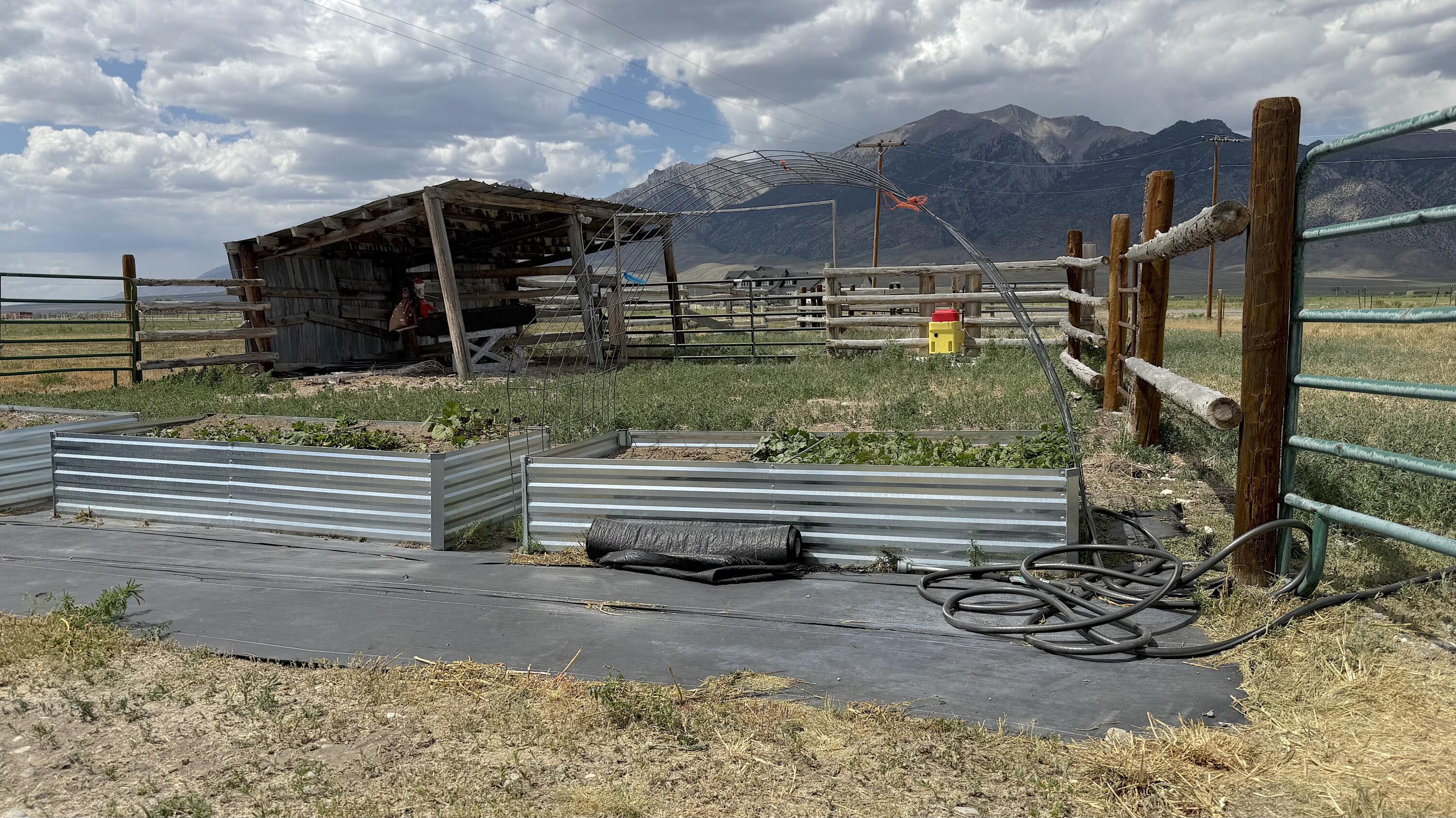 4133 Highway 93 Mackay, ID 83251 - Photo 30 of 41 IMG_9129