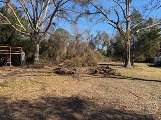 502 Chevis Road Savannah, GA 31419 - Photo 39 of 46