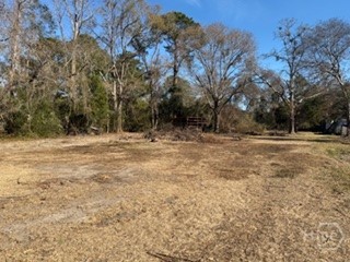 502 Chevis Road Savannah, GA 31419 - Photo 44 of 46