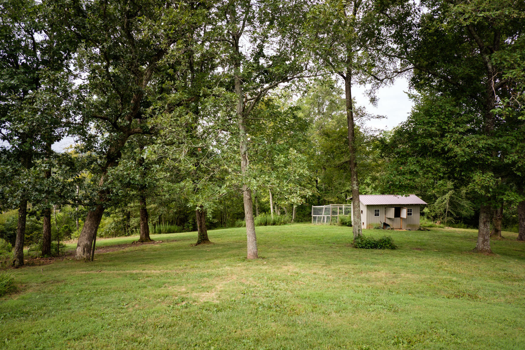 541 Piney Grove Road Somerset, KY 42501 - Photo 31 of 49 KXTB3461