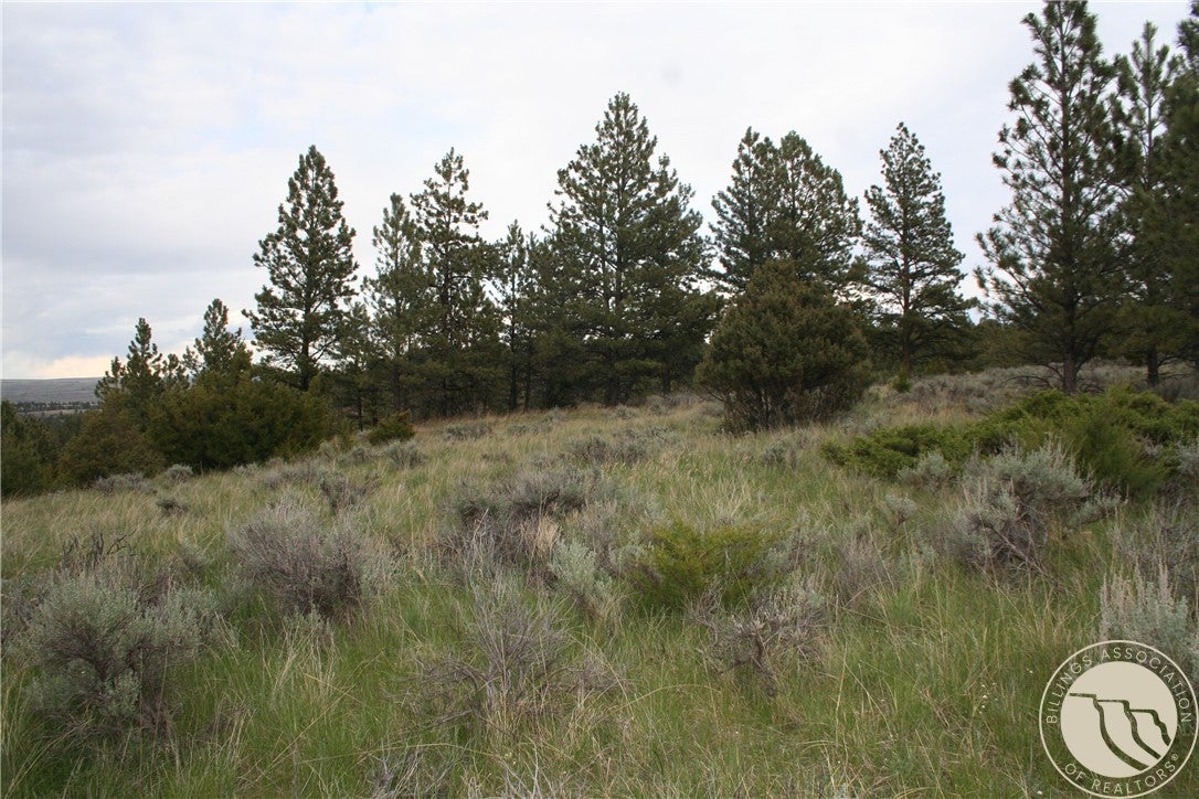 Lot 69 Jacobs Hill Road Reed Point, MT 59069 - Photo 9 of 25 Gallery Image 9