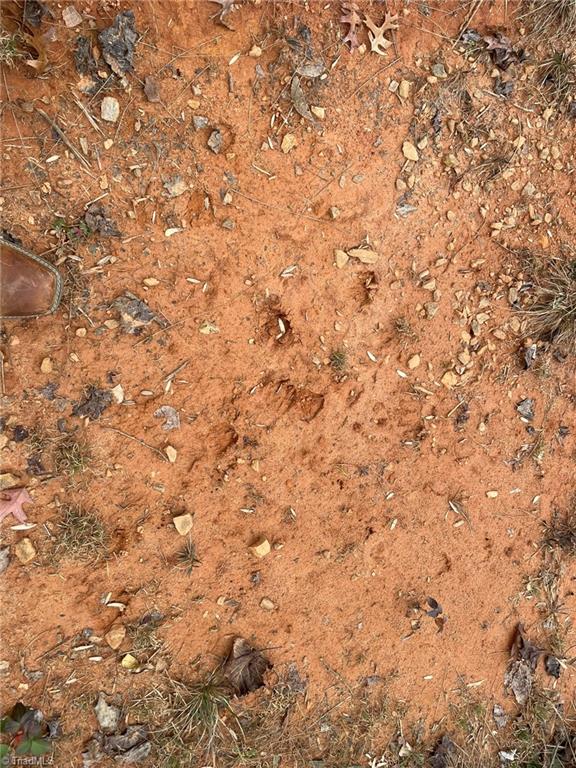 Lot 12 Pulco Lane Ronda, NC 28670 - Photo 8 of 9