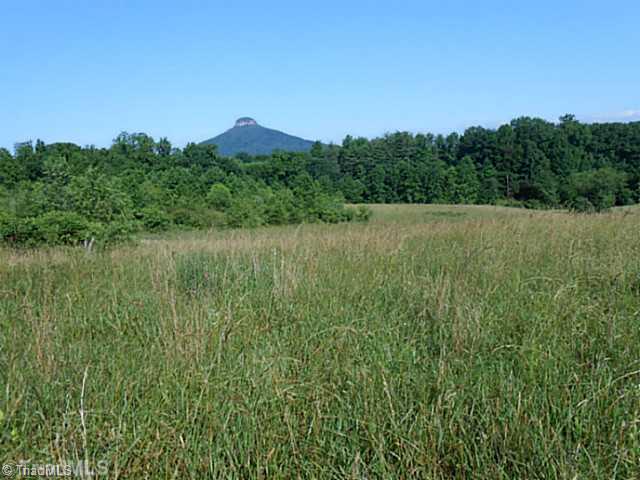 20.9 Bradley Road Pinnacle, NC 27043 - Photo 1 of 4 Exterior Front. View from highest knoll looking towards Pilot Mountain in Surry County