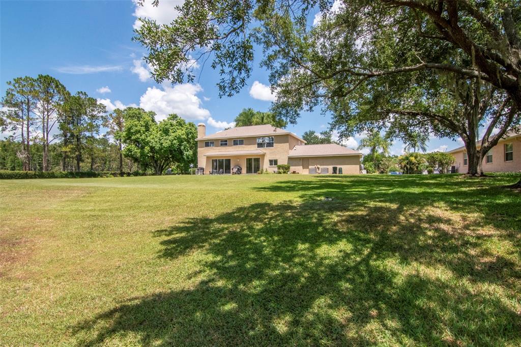 18511 Bittern Avenue Lutz, FL 33558 - Photo 51 of 63