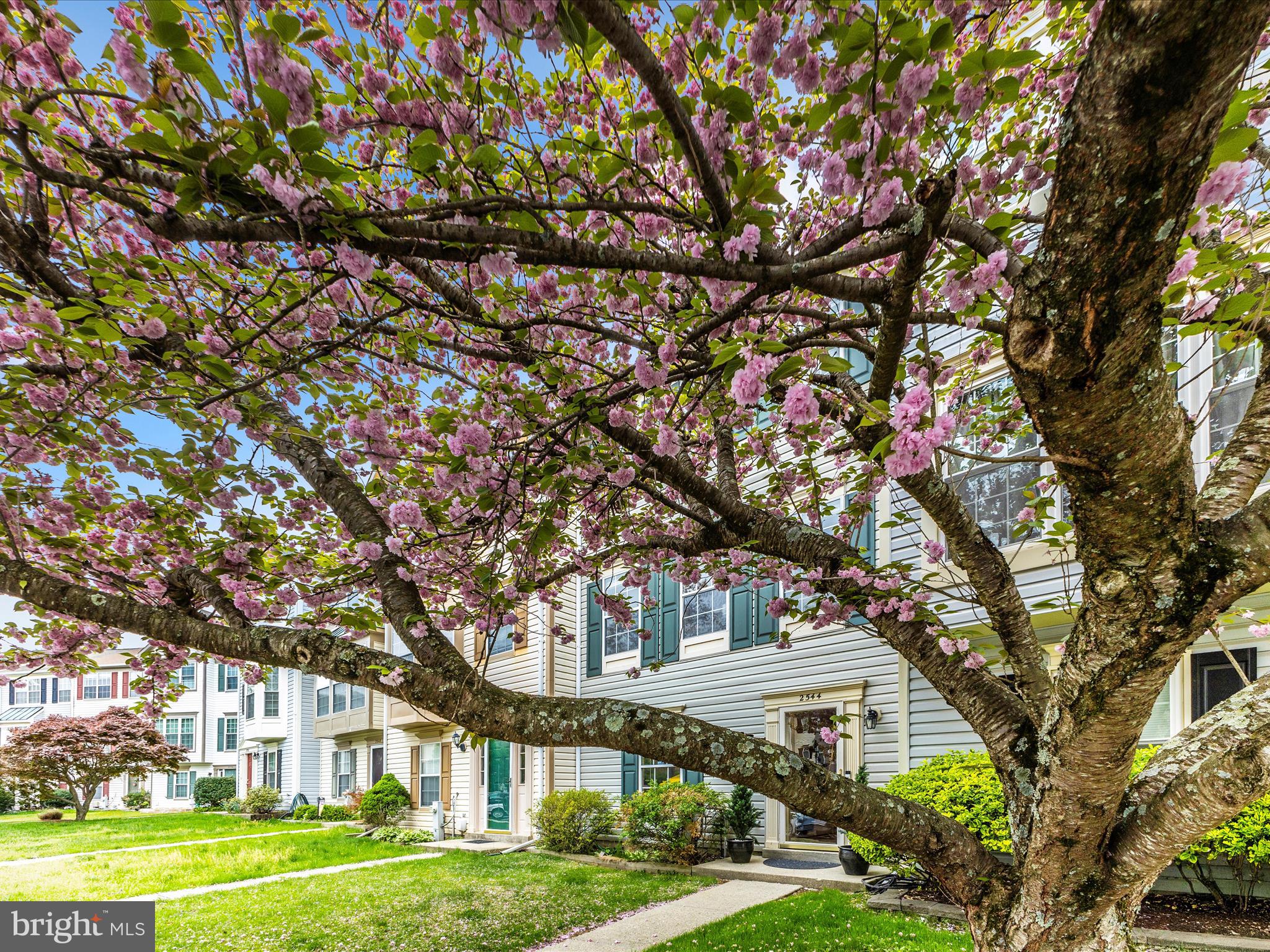 2544 Ambling Circle, Unit 31 Crofton, MD 21114 - Photo 3 of 52 a tree in front of a building with large trees