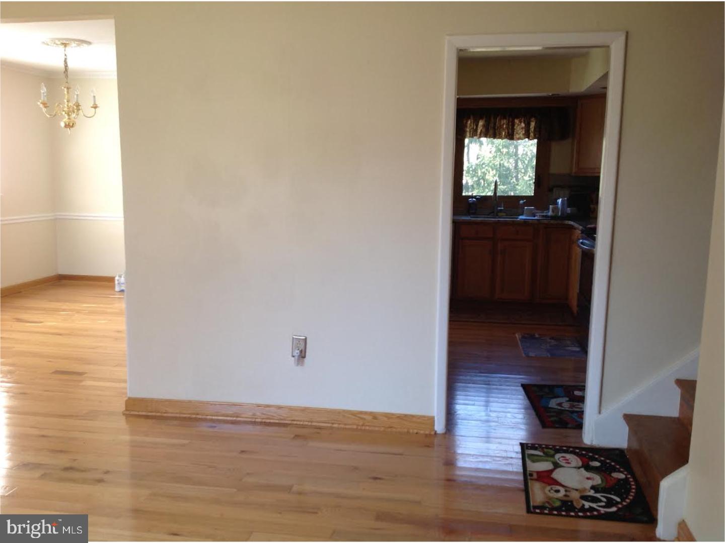 246 Park Road Ambler, PA 19002 - Photo 4 of 12 Gallery Image 4