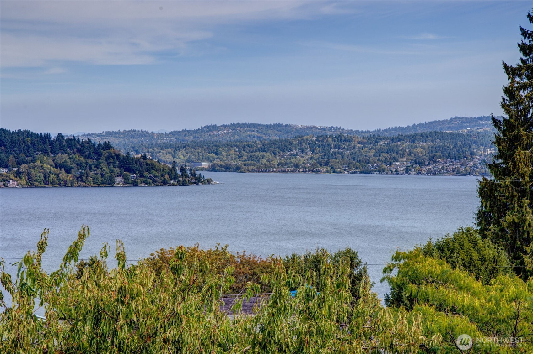 an aerial view of a residential houses with outdoor space and trees
