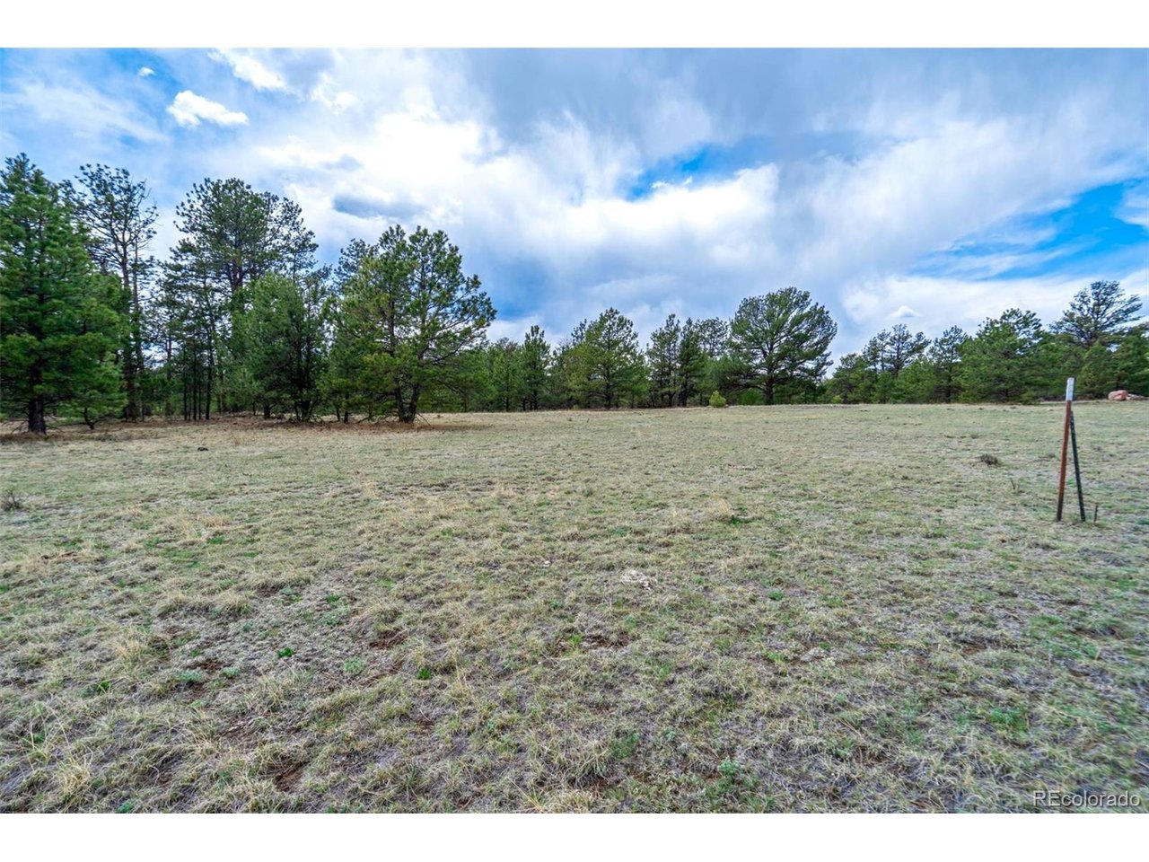 103 Doe Valley Road Guffey, CO 80820 - Photo 15 of 46