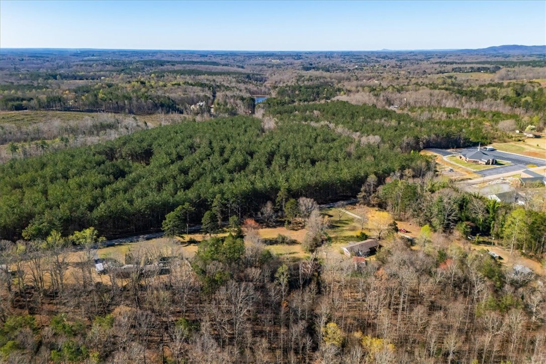 453 Deaton Road Walhalla, SC 29691 - Photo 19 of 28 Expansive acreage provides diverse views, encompassing mature woodlands, open fields, and distant water.
