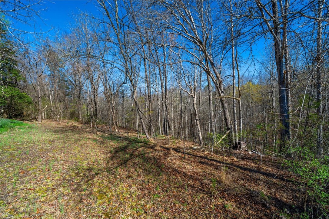 453 Deaton Road Walhalla, SC 29691 - Photo 25 of 28