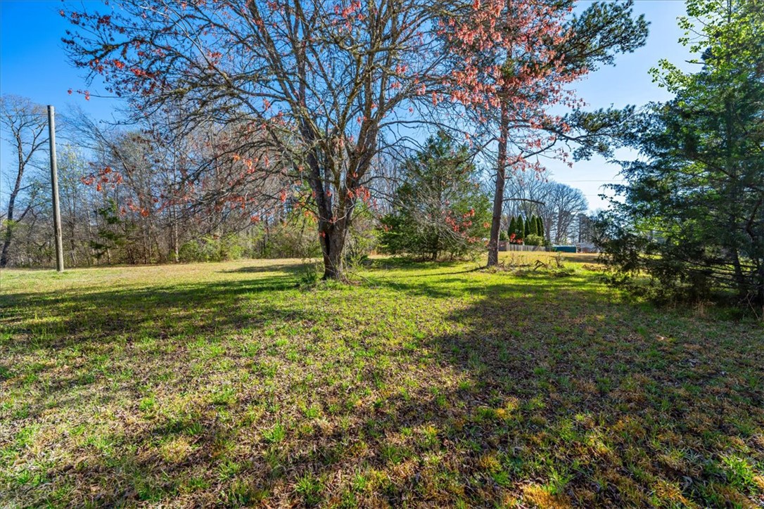 453 Deaton Road Walhalla, SC 29691 - Photo 5 of 28 A verdant, open field with mature trees offers a serene natural setting.