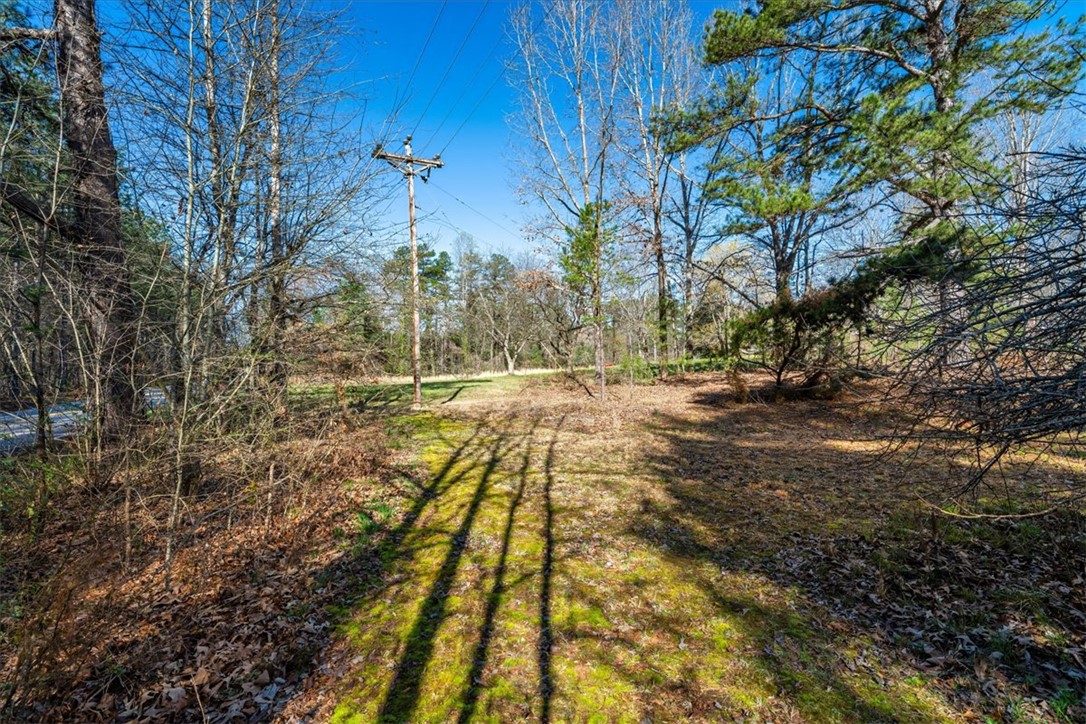 453 Deaton Road Walhalla, SC 29691 - Photo 7 of 28 A tranquil wooded area offering a sense of seclusion and natural beauty.