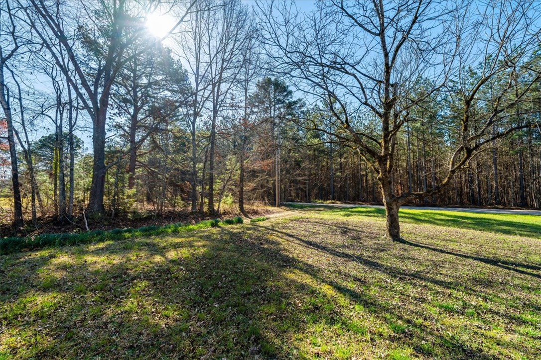 453 Deaton Road Walhalla, SC 29691 - Photo 10 of 28 This verdant yard offers a tranquil retreat surrounded by a dense, natural treeline.