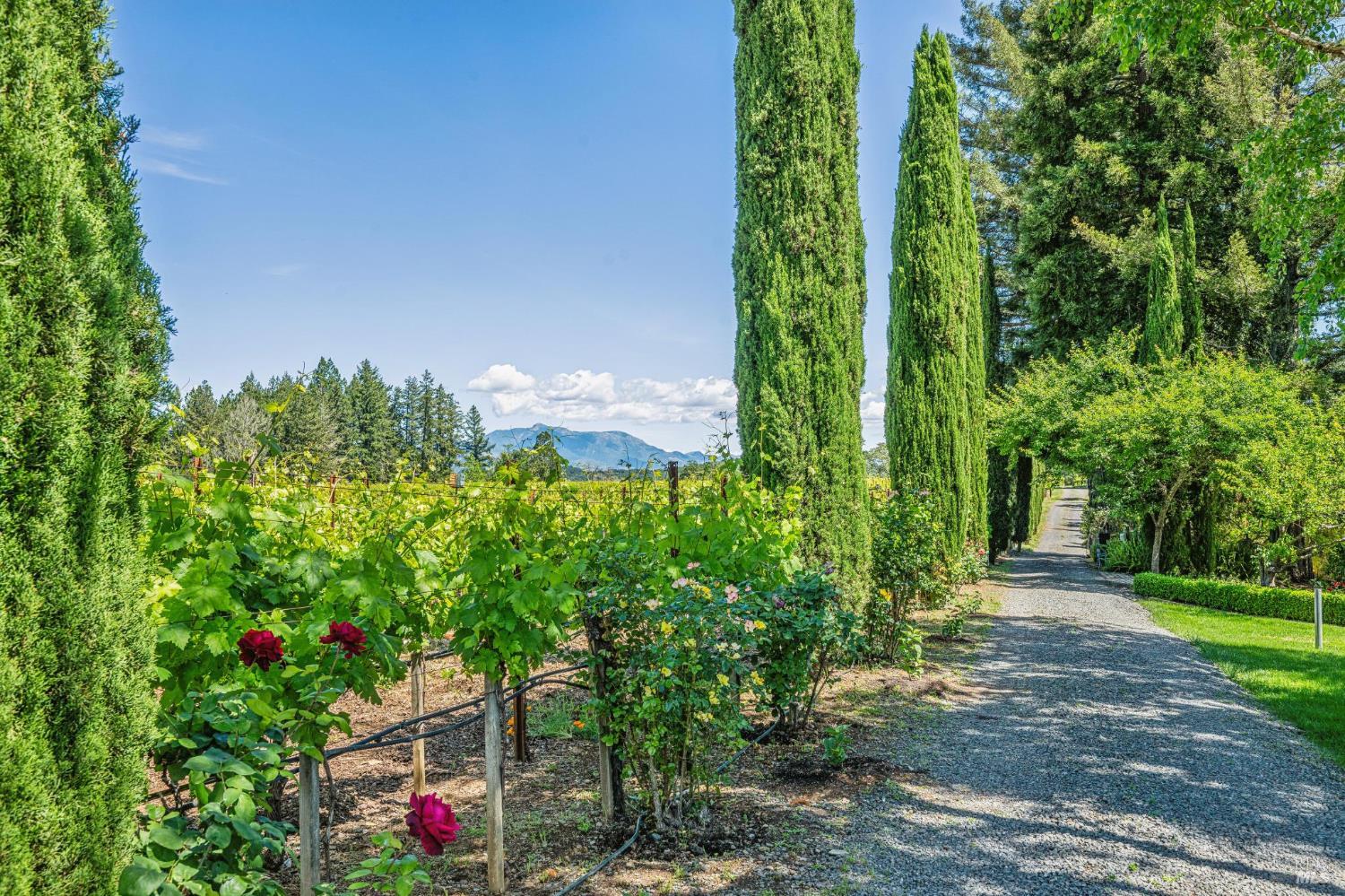 1633 Dry Creek Road Healdsburg, CA 95448 - Photo 54 of 64