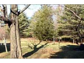 171 Piper Hill Road Loudon, NH 03307 - Photo 3 of 3