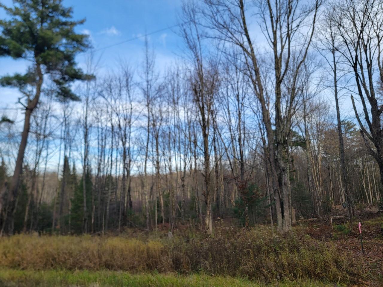 On Lake Winter Road, Unit 1 57AC Winter, WI 54896 - Photo 1 of 5 Gallery Image 1
