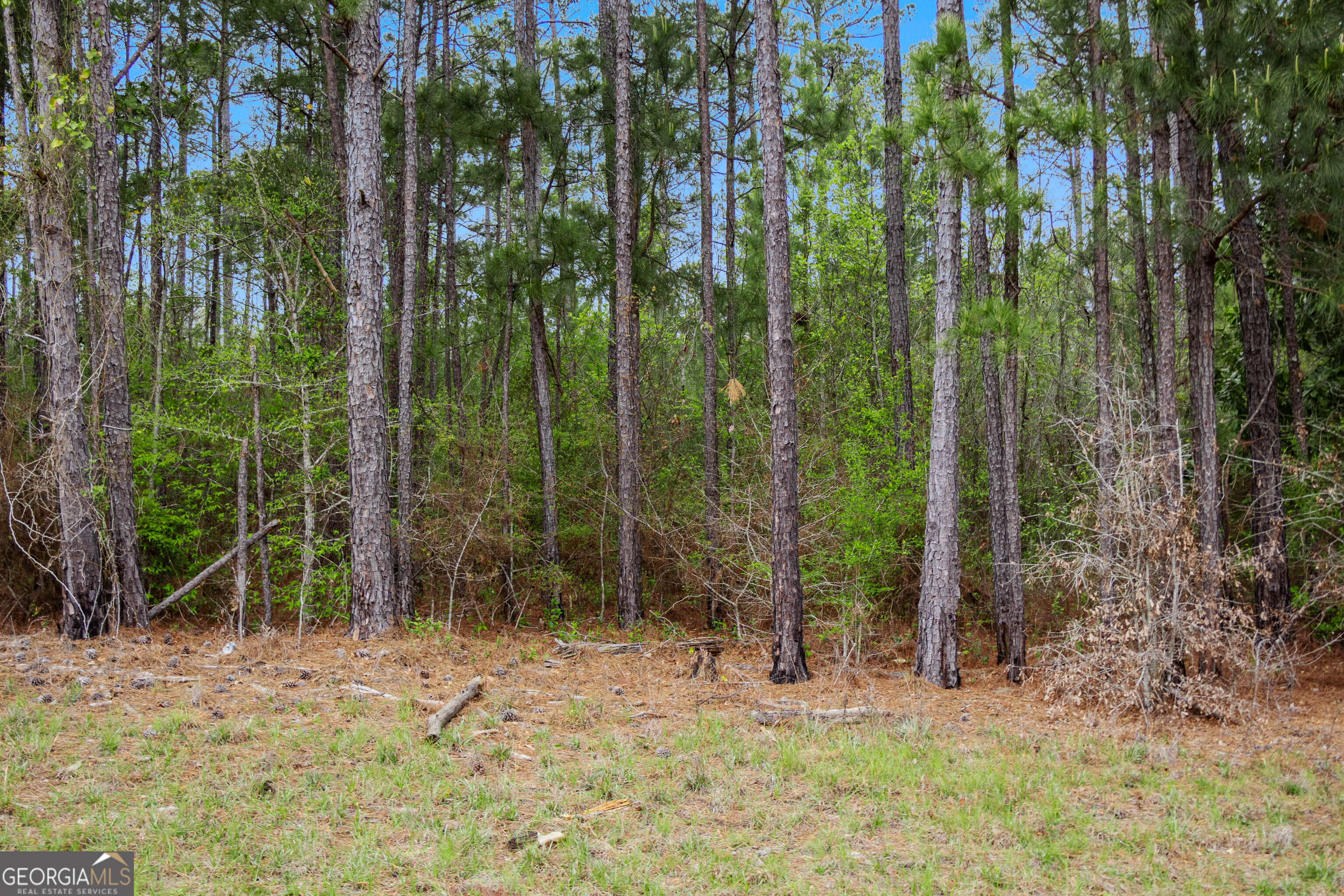 4172 Bartley Road West Point, GA 31833 - Photo 13 of 13 a view of outdoor space with trees