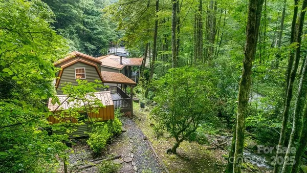 a view of a garden with plants and large trees