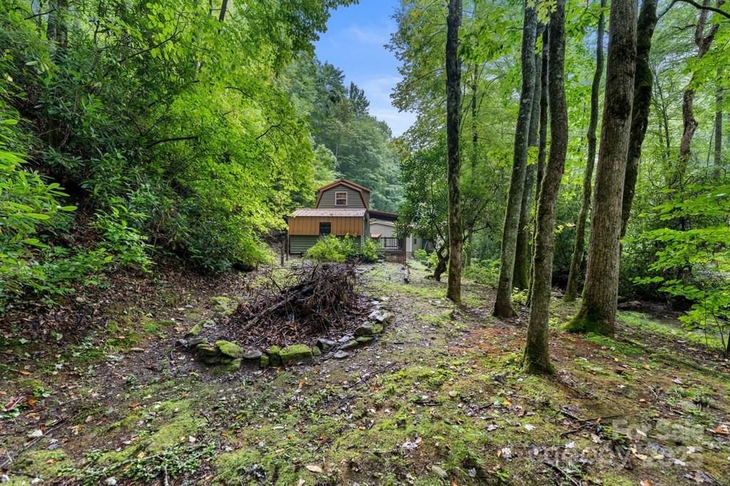 11 Choice Place Whittier, NC 28789 - Photo 22 of 48