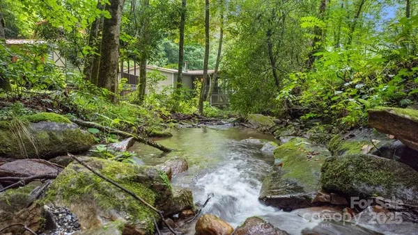a backyard of a house with lots of green space and trees all around