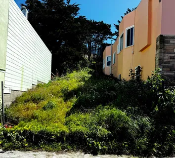 a view of a house with a yard and garden