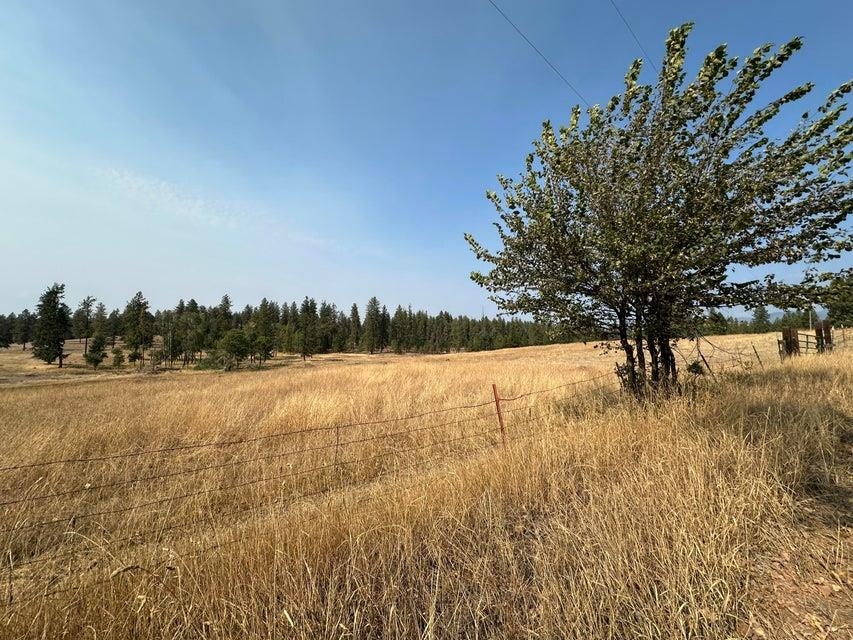 329 X Skok Road Valley, WA 99181 - Photo 12 of 13