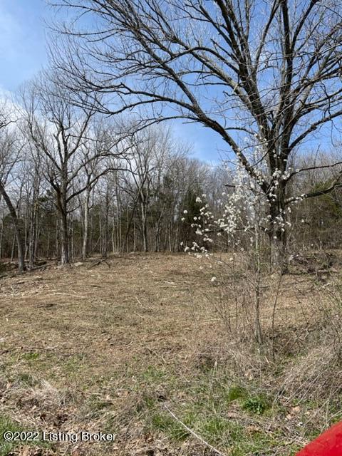 526 Mercer Bend Road, Unit 96 PUBL Leitchfield, KY 42754 - Photo 2 of 4 IMG_4754