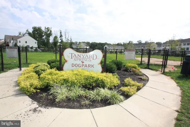 a view of a garden with a bench in a backyard
