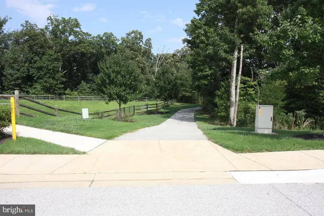 a view of a park with large trees