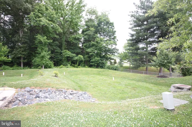 a view of a garden with trees