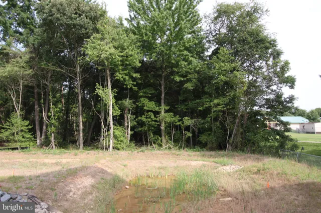 a view of backyard with green space