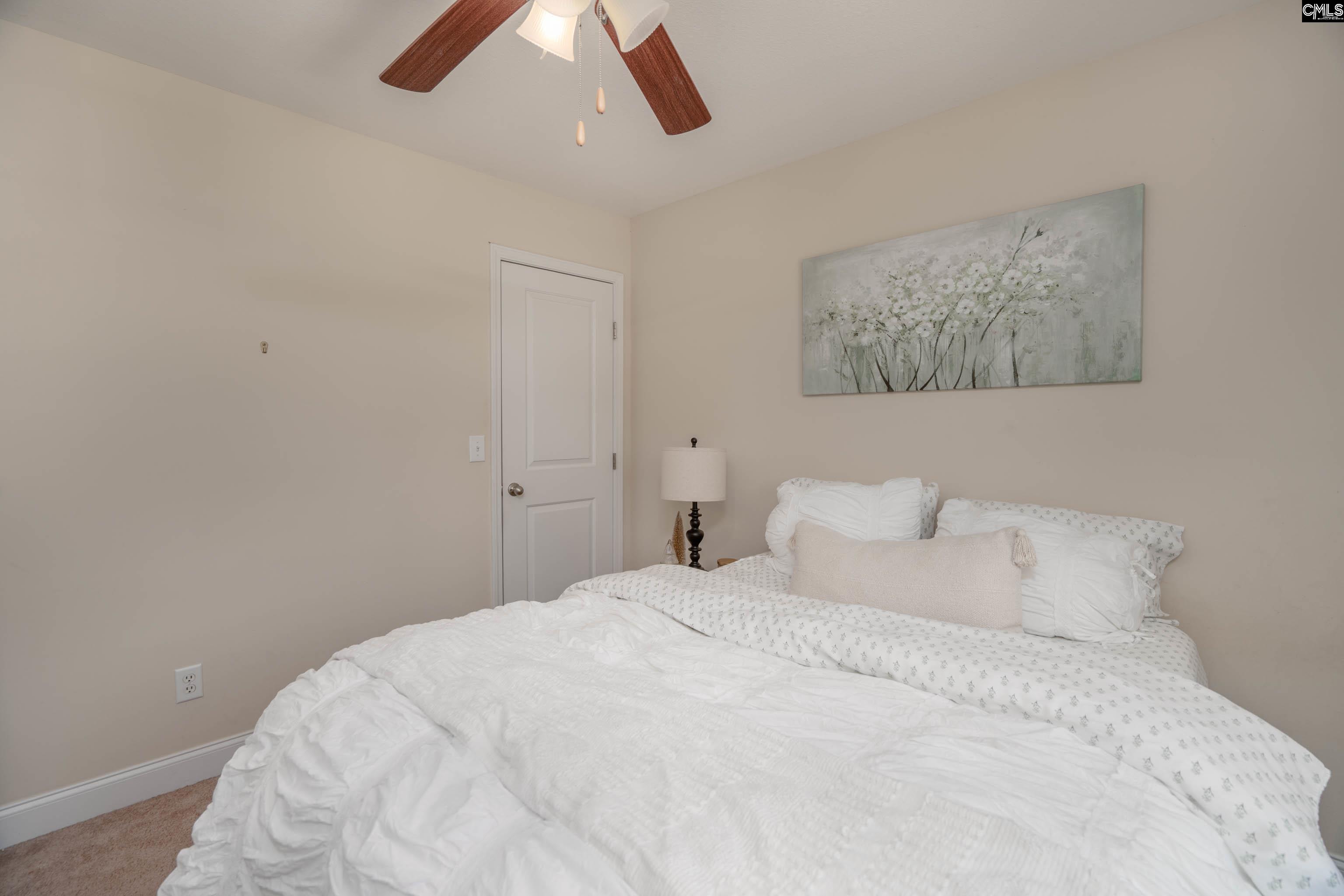 133 Palm Street Chapin, SC 29036 - Photo 25 of 37
