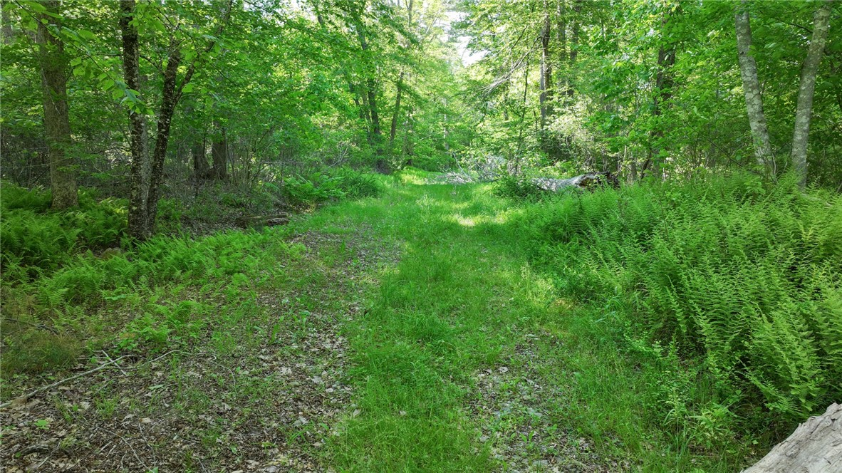 0 Barbs Hill Road Greene, RI 02827 - Photo 16 of 22 Gallery Image 16