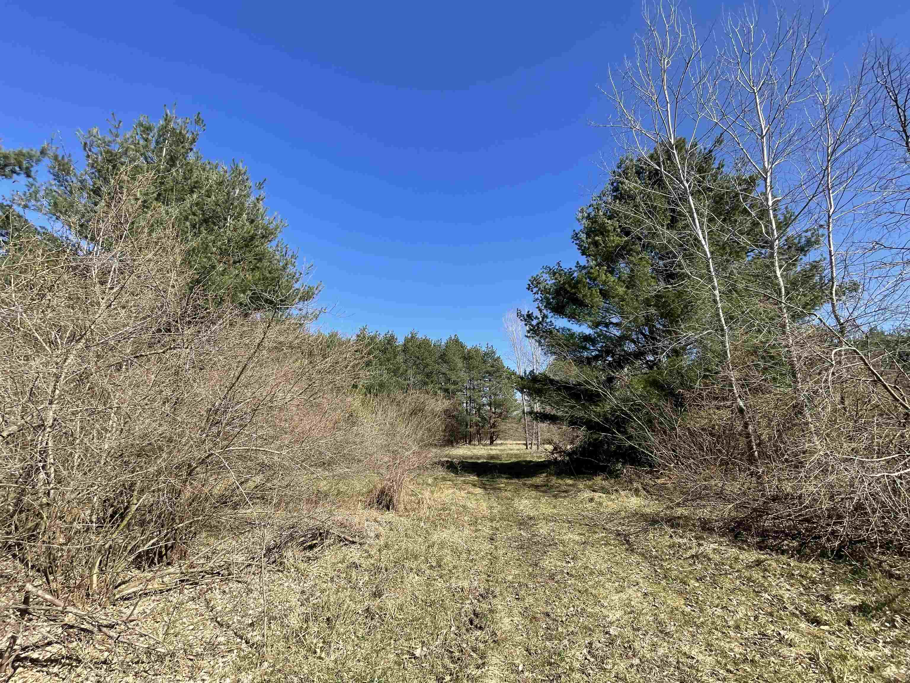 Tbd South Tbd S Fenmore Road Merrill, MI 48637 - Photo 4 of 19