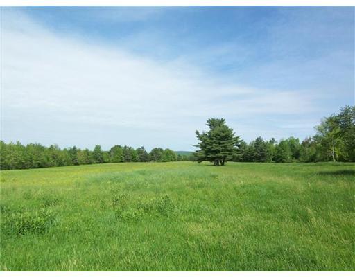 277 Poland Corner Road Poland, ME 04274 - Photo 5 of 9 Yard/Garden.