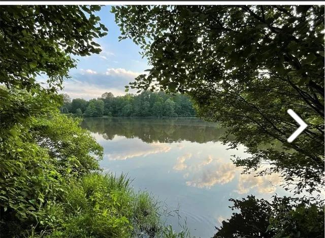 a view of a lake from a yard