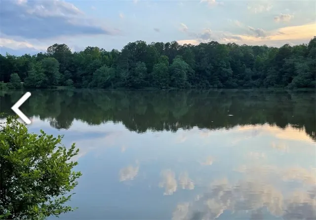 a view of a lake in middle of forest