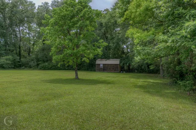 a view of a backyard