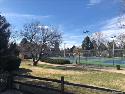 a view of a park with large trees
