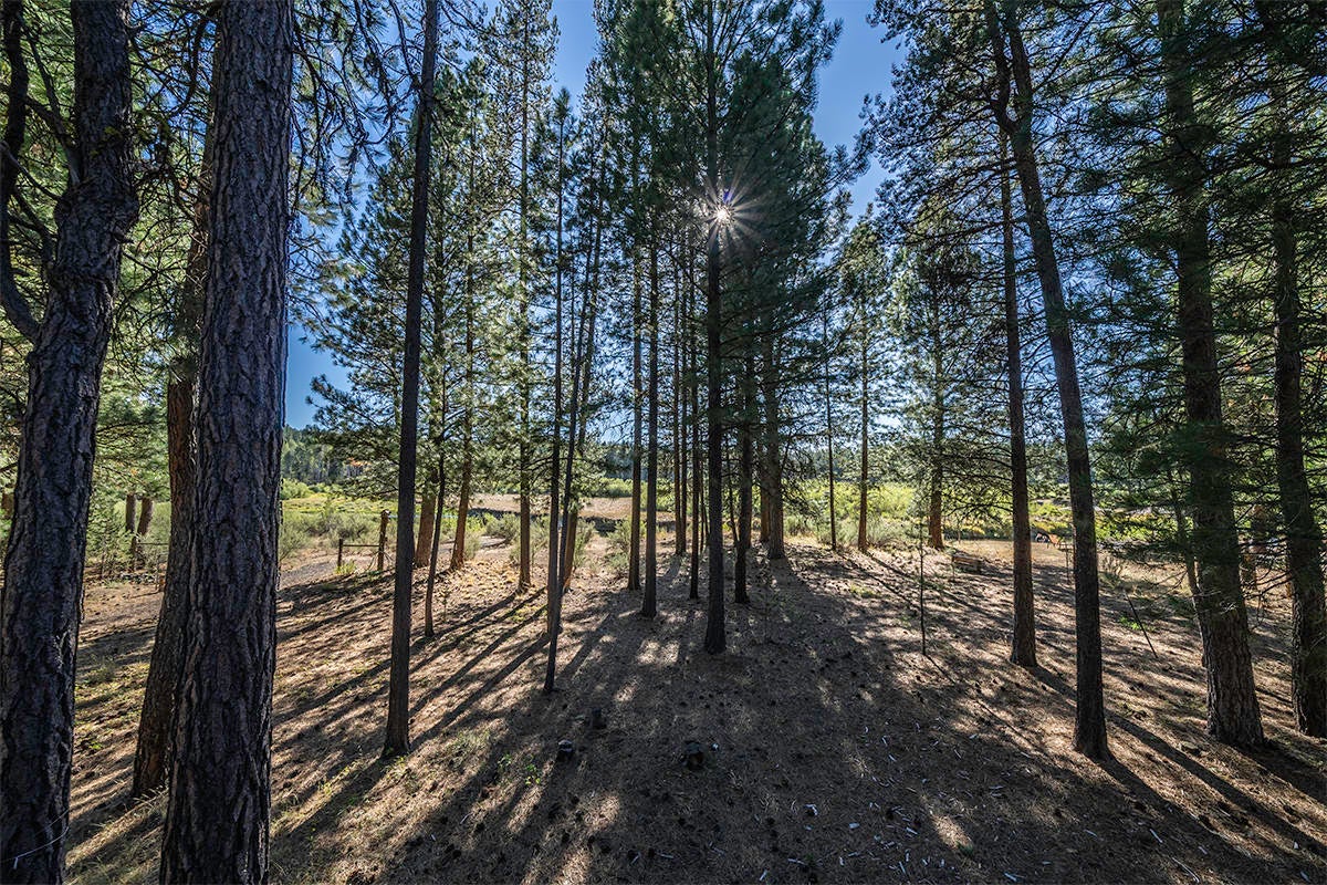 41524 Wampler Drive Chiloquin, OR 97624 - Photo 17 of 29 18