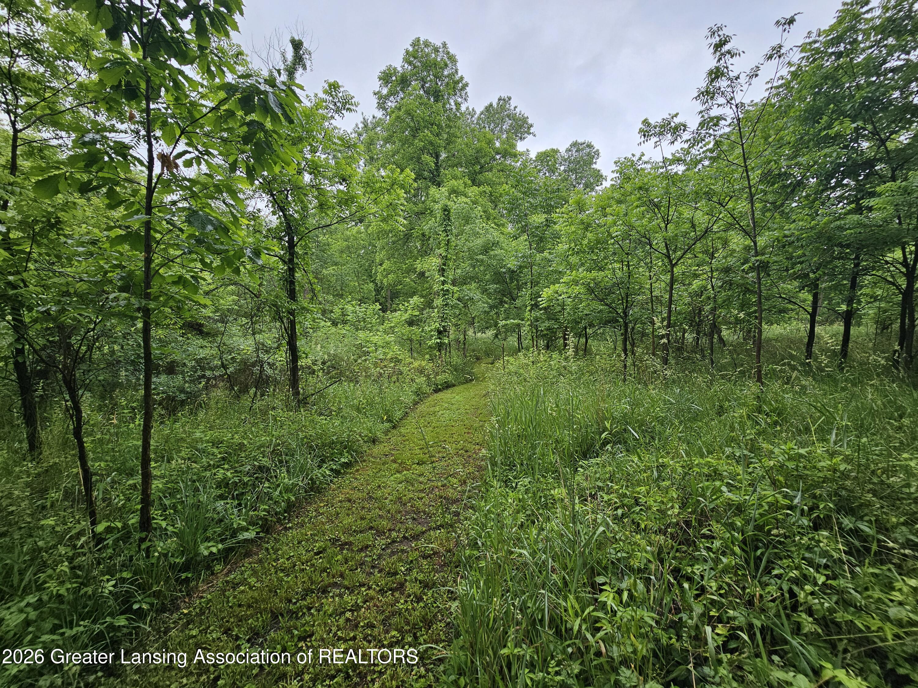 14540 South Wacousta Road Grand Ledge, MI 48837 - Photo 41 of 48 Trails