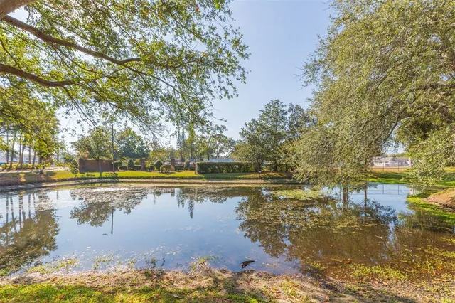 a view of a lake with trees and houses in the background
