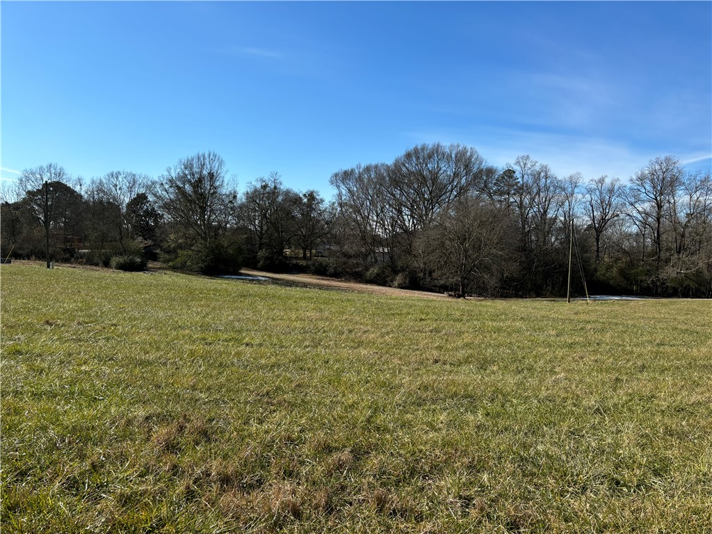 370 Fairplay Road Townville, SC 29689 - Photo 8 of 9 Gallery Image 8