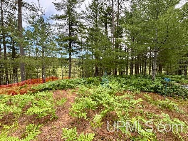 9200 Lost Lake Road Wetmore, MI 49895 - Photo 49 of 51 Gallery Image 49