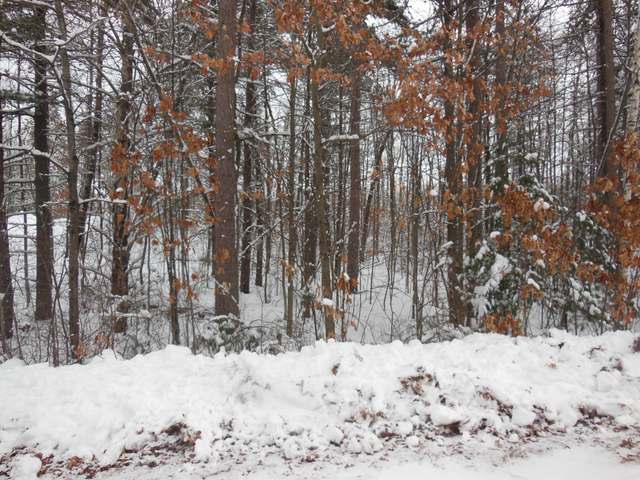 Lot 12 Cottage Road Tomahawk, WI 54487 - Photo 1 of 7 Gallery Image 1
